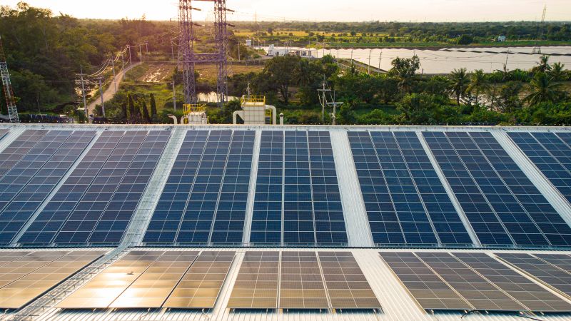 Spring Cleaning for Solar Panels